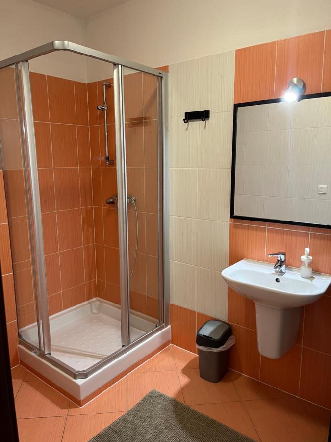 Apartman Viktoria 5 ルジョムベロク エクステリア 写真