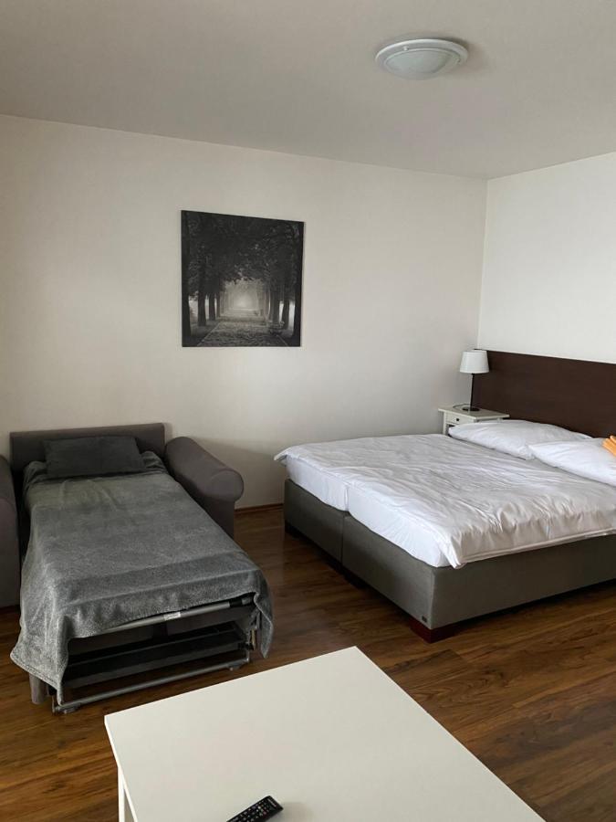 Apartman Viktoria 5 ルジョムベロク エクステリア 写真